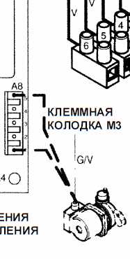 Захват-3.jpg