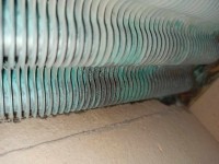 IMG_20200216_083051.jpg