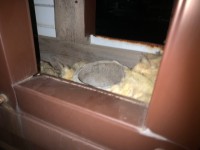IMG_4947.jpeg