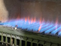 IMG_5060.jpeg