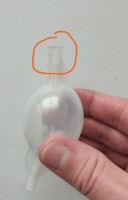 IMG_20250422_080854.jpg