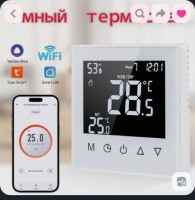 Термостат